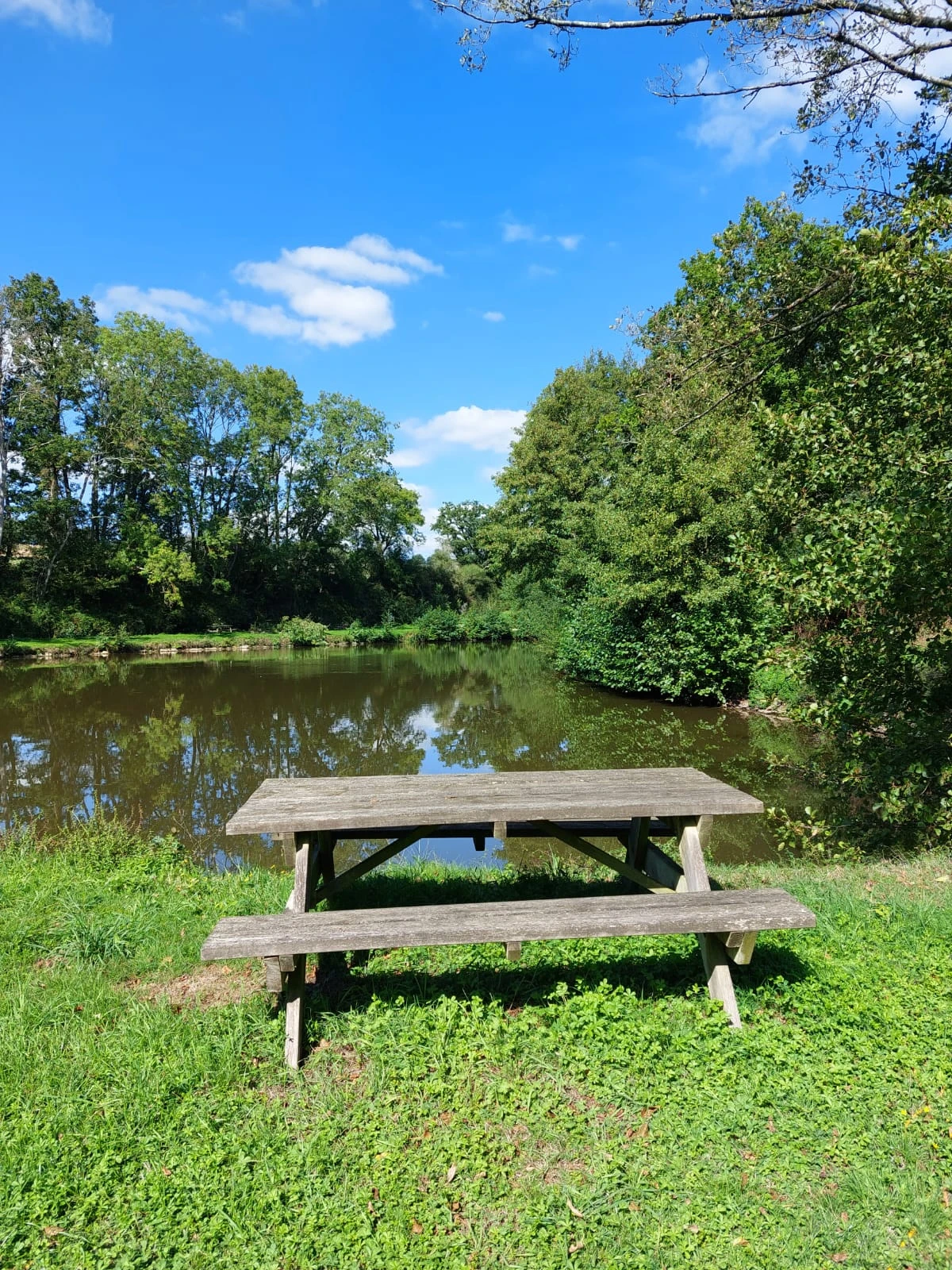 Étang des chênes à 5mn de Laval image