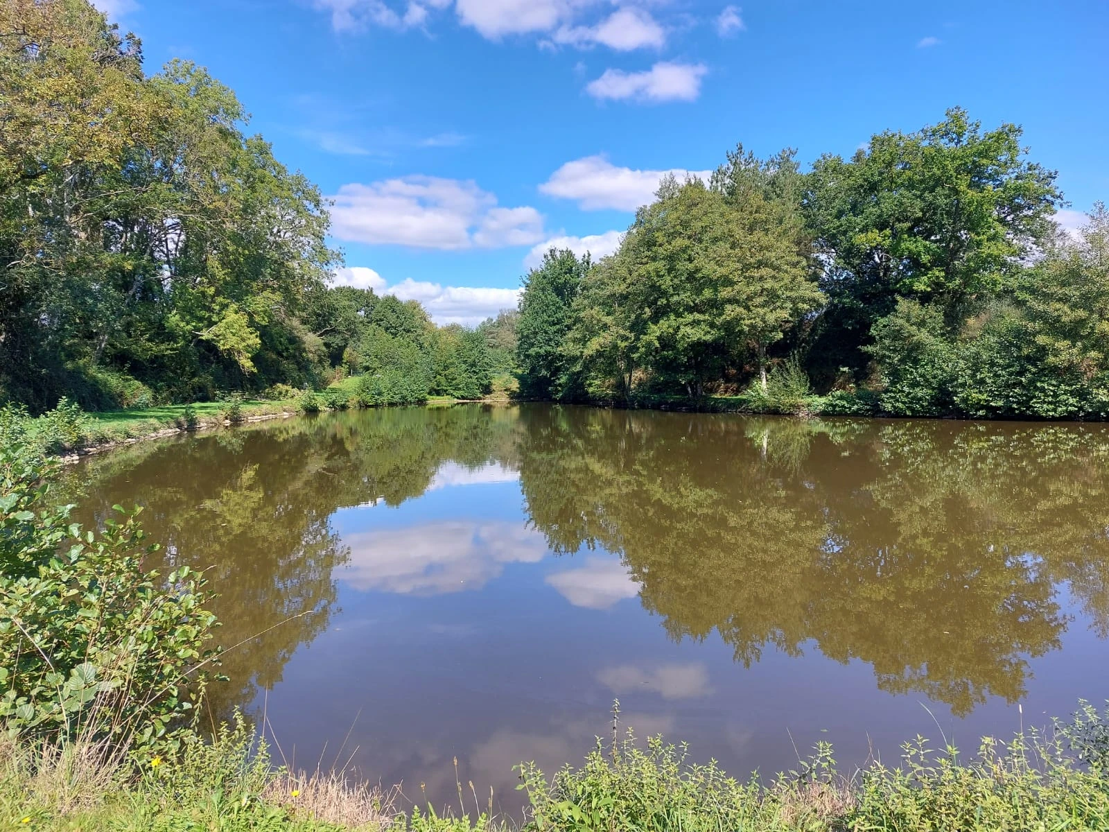 Étang des chênes à 5mn de Laval image