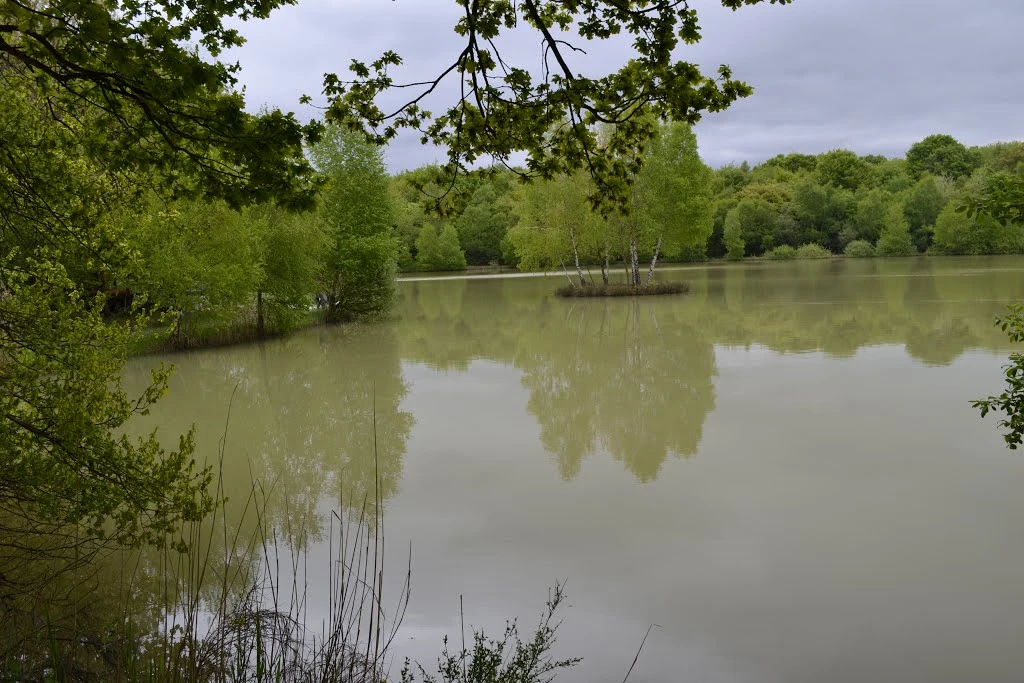 Etang Paldoux image