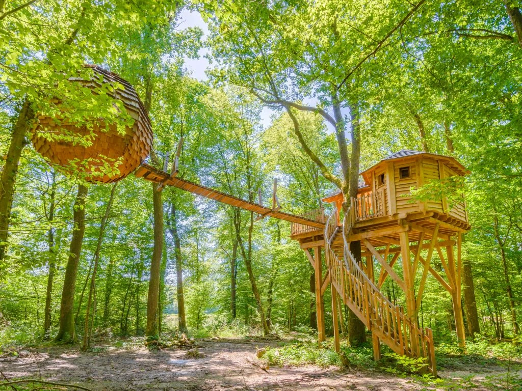 La cabane du pêcheur image
