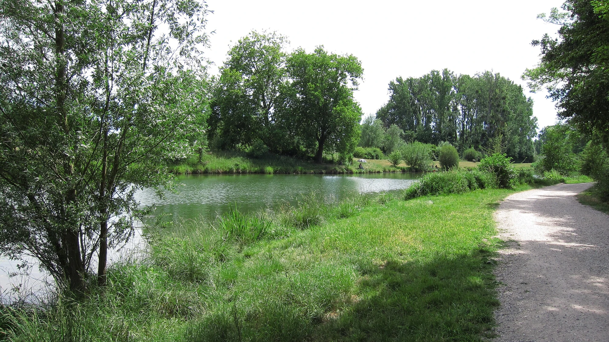 Etang du chêne image