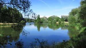 Etang du chêne