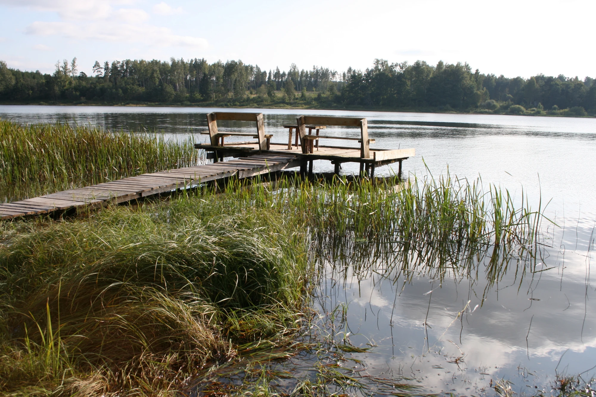 Etang du chêne image