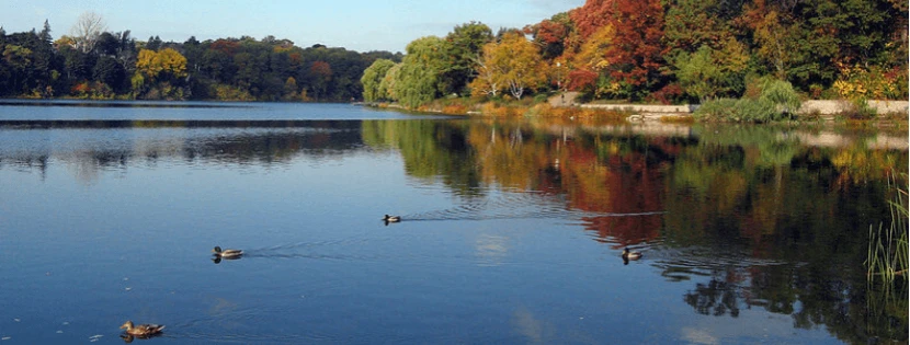Réservoir pêche à la mouche image