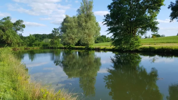 Réservoir pêche à la mouche