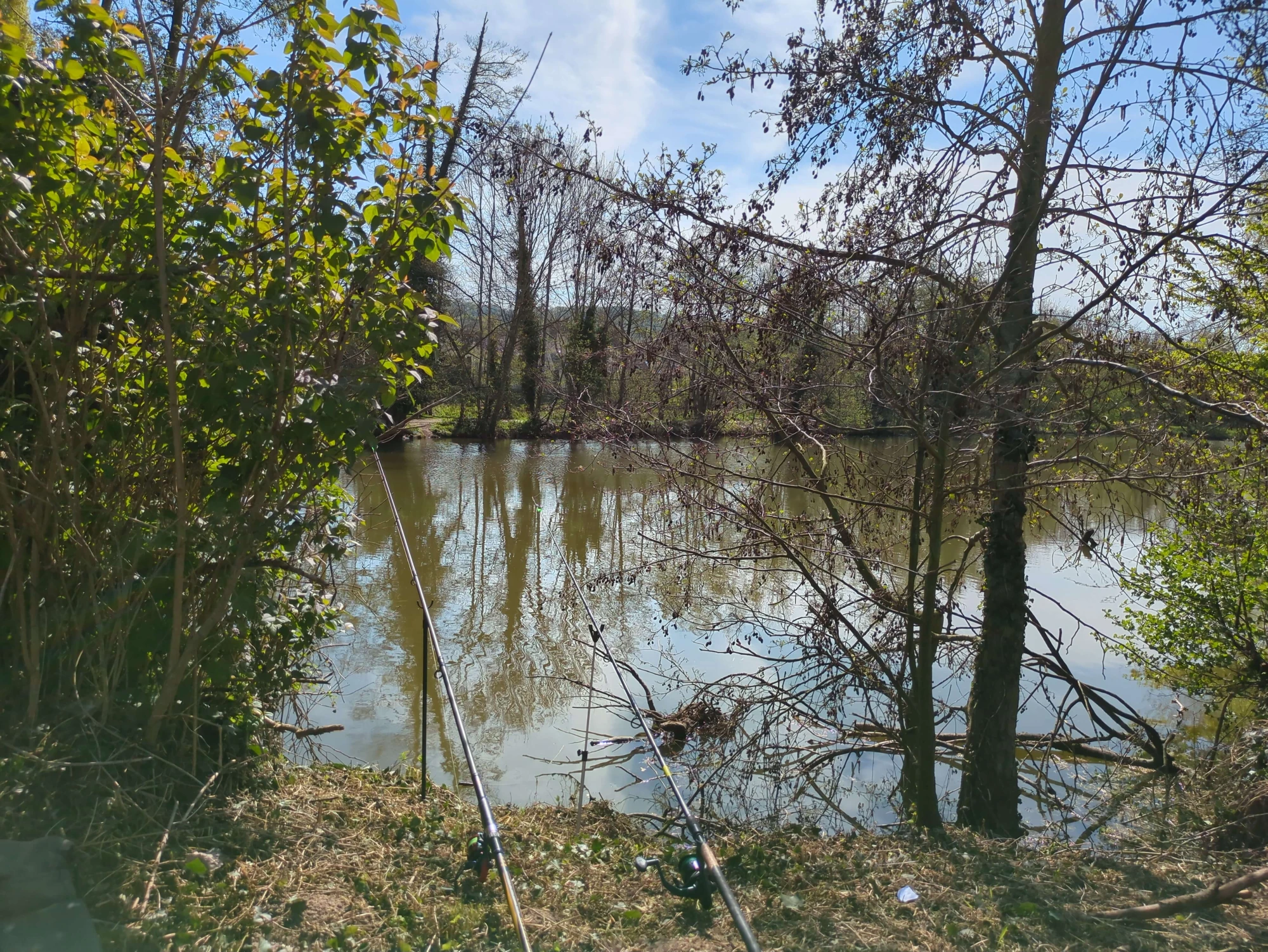 Domaine d'Orsay image