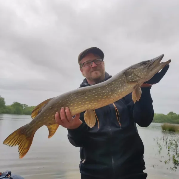 Étang de la basse roussière